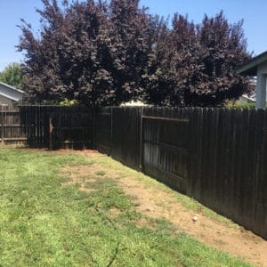 Wornout Fence Before Our Pressure Washing Service