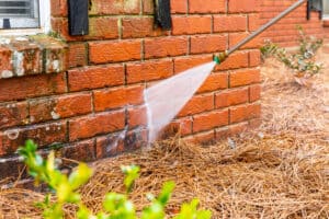 The Role of Professional Power Washing in Preventing Mold and Mildew Growth
